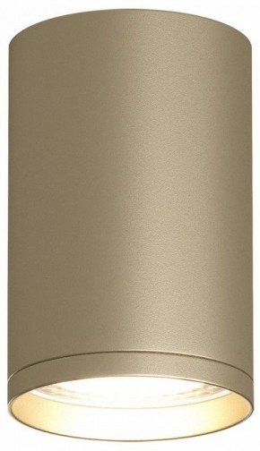Накладной светильник Denkirs TUBE DK2050-SG в Заречном - zarechnyy.mebel24.online | фото 2