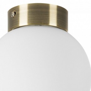 Накладной светильник Lightstar Globo 812011 в Заречном - zarechnyy.mebel24.online | фото 3