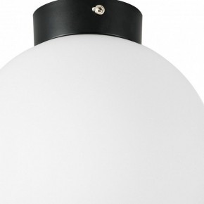 Накладной светильник Lightstar Globo 812027 в Заречном - zarechnyy.mebel24.online | фото 2