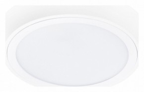 Накладной светильник Lightstar Urbano 216902 в Заречном - zarechnyy.mebel24.online | фото 1