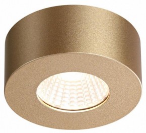 Накладной светильник Odeon Light Bene 4284/7CL в Заречном - zarechnyy.mebel24.online | фото 4