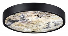 Накладной светильник Odeon Light Bergi 5064/30L в Заречном - zarechnyy.mebel24.online | фото 4