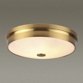 Накладной светильник Odeon Light Marsei 4824/4C в Заречном - zarechnyy.mebel24.online | фото 2