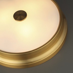 Накладной светильник Odeon Light Marsei 4824/4C в Заречном - zarechnyy.mebel24.online | фото 5