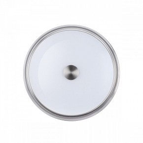 Накладной светильник Odeon Light Marsei 4825/3C в Заречном - zarechnyy.mebel24.online | фото 2