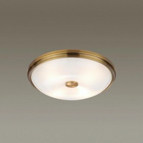 Накладной светильник Odeon Light Pelow 4956/4 в Заречном - zarechnyy.mebel24.online | фото 2