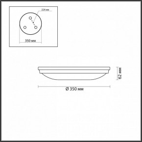 Накладной светильник Odeon Light Pelow 4957/4 в Заречном - zarechnyy.mebel24.online | фото 3