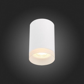 Накладной светильник ST-Luce ST100 ST100.502.01 в Заречном - zarechnyy.mebel24.online | фото 4