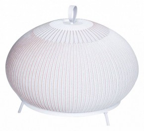 Настольная лампа декоративная Divinare Firefly 1808/33 TL-50 в Заречном - zarechnyy.mebel24.online | фото
