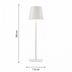 Настольная лампа декоративная F-promo Pyari 4614-1T в Заречном - zarechnyy.mebel24.online | фото 3