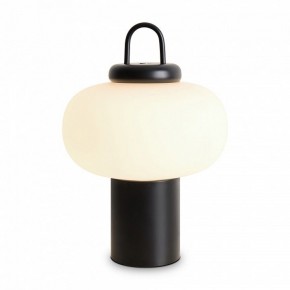 Настольная лампа декоративная Freya Take FR6175TL-L10B в Заречном - zarechnyy.mebel24.online | фото