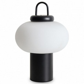 Настольная лампа декоративная Freya Take FR6175TL-L10B в Заречном - zarechnyy.mebel24.online | фото 2