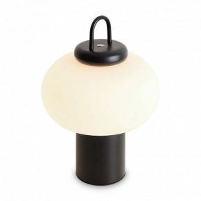 Настольная лампа декоративная Freya Take FR6175TL-L10B в Заречном - zarechnyy.mebel24.online | фото 3