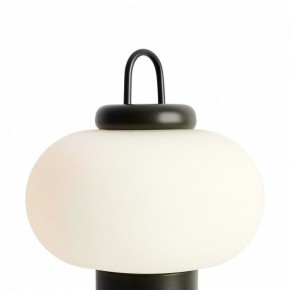 Настольная лампа декоративная Freya Take FR6175TL-L10B в Заречном - zarechnyy.mebel24.online | фото 5