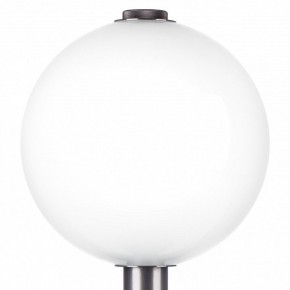 Настольная лампа декоративная Lightstar Colore 805916 в Заречном - zarechnyy.mebel24.online | фото 6
