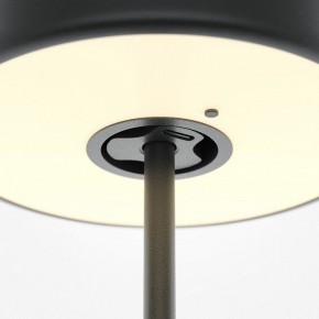 Настольная лампа декоративная Maytoni AI Collaboration MOD229TL-L3B3K2 в Заречном - zarechnyy.mebel24.online | фото 5