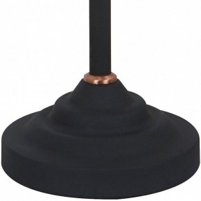 Настольная лампа офисная Arte Lamp Braccio A2054LT-1BK в Заречном - zarechnyy.mebel24.online | фото 4