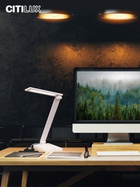 Настольная лампа офисная Citilux Ньютон CL803080 в Заречном - zarechnyy.mebel24.online | фото 10