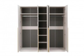 НИКОЛЬ 25 Шкаф 5-ти створчатый в Заречном - zarechnyy.mebel24.online | фото 3