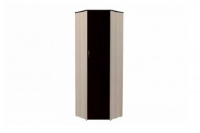 ОЛЬГА 9.1 Шкаф угловой без зеркала в Заречном - zarechnyy.mebel24.online | фото 1