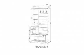 ОЛЬГА-МИЛК Прихожая (модульная) в Заречном - zarechnyy.mebel24.online | фото 2