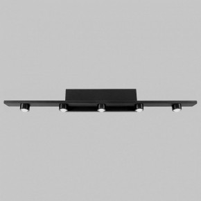 Подсветка для картины Imex VINCENT IL.0040.0050-5 SBK в Заречном - zarechnyy.mebel24.online | фото