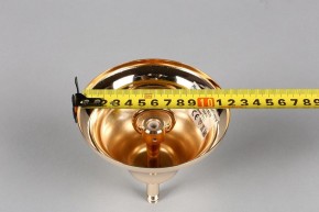 Подвесная люстра Aployt Daniele APL.701.03.12 в Заречном - zarechnyy.mebel24.online | фото 6