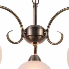 Подвесная люстра Arte Lamp Margo A9317LM-3AB в Заречном - zarechnyy.mebel24.online | фото 4