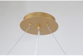 Подвесная люстра Favourite Ginkoa 4080-10P в Заречном - zarechnyy.mebel24.online | фото 9