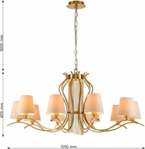 Подвесная люстра Favourite Ketten 2867-10P в Заречном - zarechnyy.mebel24.online | фото 4