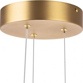 Подвесная люстра Lightstar Bergamo 745247 в Заречном - zarechnyy.mebel24.online | фото 6