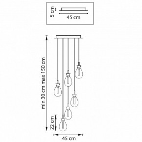 Подвесная люстра Lightstar Colore 805169 в Заречном - zarechnyy.mebel24.online | фото 5