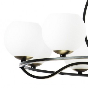 Подвесная люстра Lightstar Enna 762117 в Заречном - zarechnyy.mebel24.online | фото 4