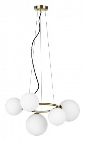 Подвесная люстра Lightstar Globo 815051 в Заречном - zarechnyy.mebel24.online | фото 2