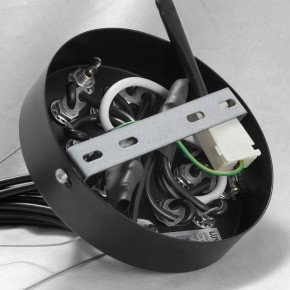 Подвесная люстра Lussole Seneca GRLSP-8177 в Заречном - zarechnyy.mebel24.online | фото 10
