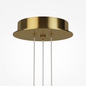 Подвесная люстра Maytoni Arana MOD401PL-L108BS3K в Заречном - zarechnyy.mebel24.online | фото 7