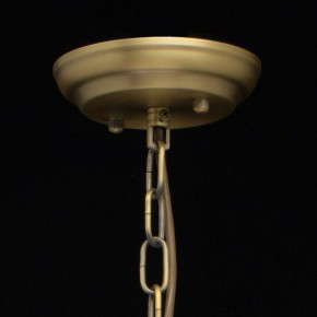 Подвесная люстра MW-Light Альгеро 3 285010703 в Заречном - zarechnyy.mebel24.online | фото 14