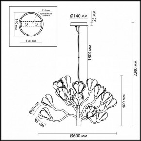 Подвесная люстра Odeon Light Gardi 5090/15 в Заречном - zarechnyy.mebel24.online | фото 6