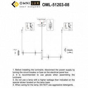 Подвесная люстра Omnilux Indovero OML-51203-08 в Заречном - zarechnyy.mebel24.online | фото 3