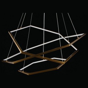 Подвесной светильник Aployt Polunia APL.021.03.136 в Заречном - zarechnyy.mebel24.online | фото 5