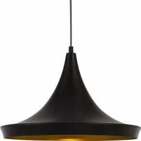 Подвесной светильник Arte Lamp Capello A3406SP-1BK в Заречном - zarechnyy.mebel24.online | фото 3