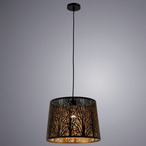 Подвесной светильник Arte Lamp Celesta A2769SP-1BK в Заречном - zarechnyy.mebel24.online | фото 3