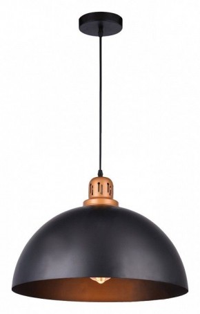 Подвесной светильник Arte Lamp Eurica A4249SP-1BK в Заречном - zarechnyy.mebel24.online | фото 2