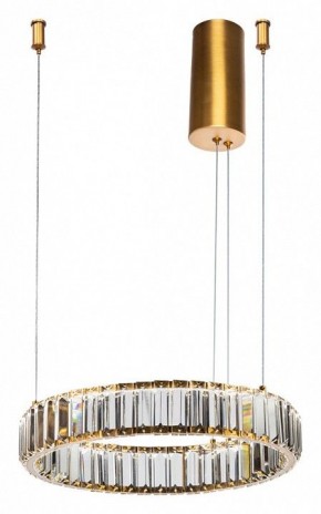 Подвесной светильник Divinare Renata 1135/17 SP-25 в Заречном - zarechnyy.mebel24.online | фото 2