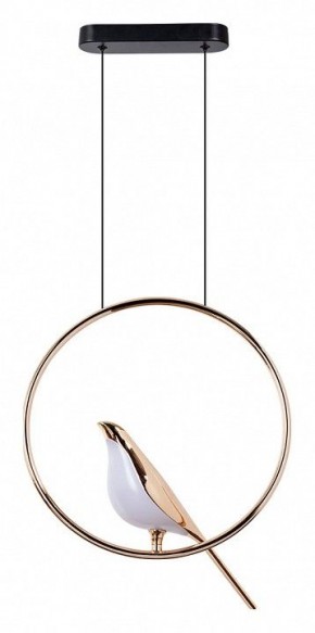 Подвесной светильник Divinare Summer 1188/01 SP-9 в Заречном - zarechnyy.mebel24.online | фото 2
