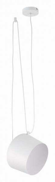 Подвесной светильник EVOLUCE Trieste SLE120653-01 в Заречном - zarechnyy.mebel24.online | фото 2