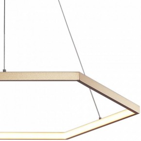 Подвесной светильник Favourite Hexagon 2103-6P в Заречном - zarechnyy.mebel24.online | фото 3