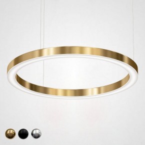 Подвесной светильник Imperiumloft Light Ring Horizontal 40.1454-100 в Заречном - zarechnyy.mebel24.online | фото