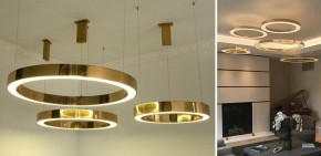 Подвесной светильник Imperiumloft Light Ring Horizontal 40.1454-100 в Заречном - zarechnyy.mebel24.online | фото 2