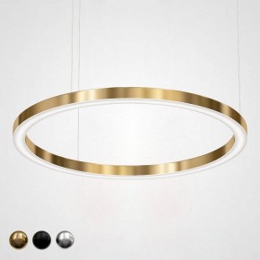 Подвесной светильник Imperiumloft Light Ring Horizontal 40.1454-120 в Заречном - zarechnyy.mebel24.online | фото